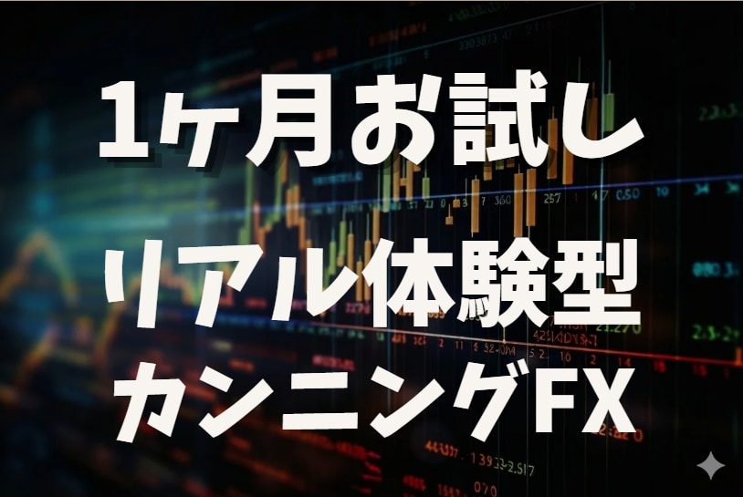 わたしの全ての手法を1ヵ月お試し体験できます 未来のチャート検証で、プロの思考を体験しませんか？ イメージ1