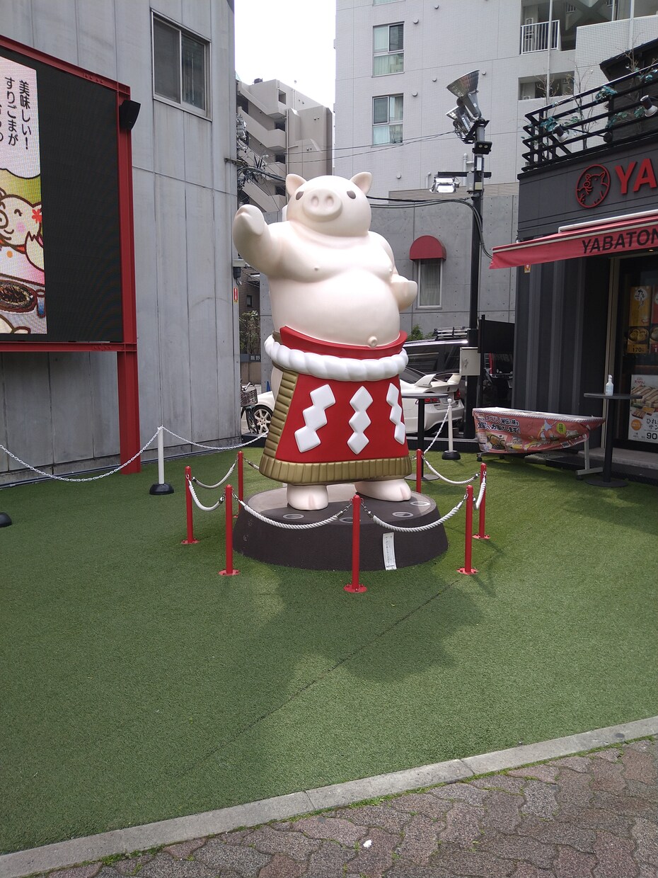 写真の白抜きをさせて頂きます これから色々な事を少しづつ覚えて行くつもりです。 イメージ1