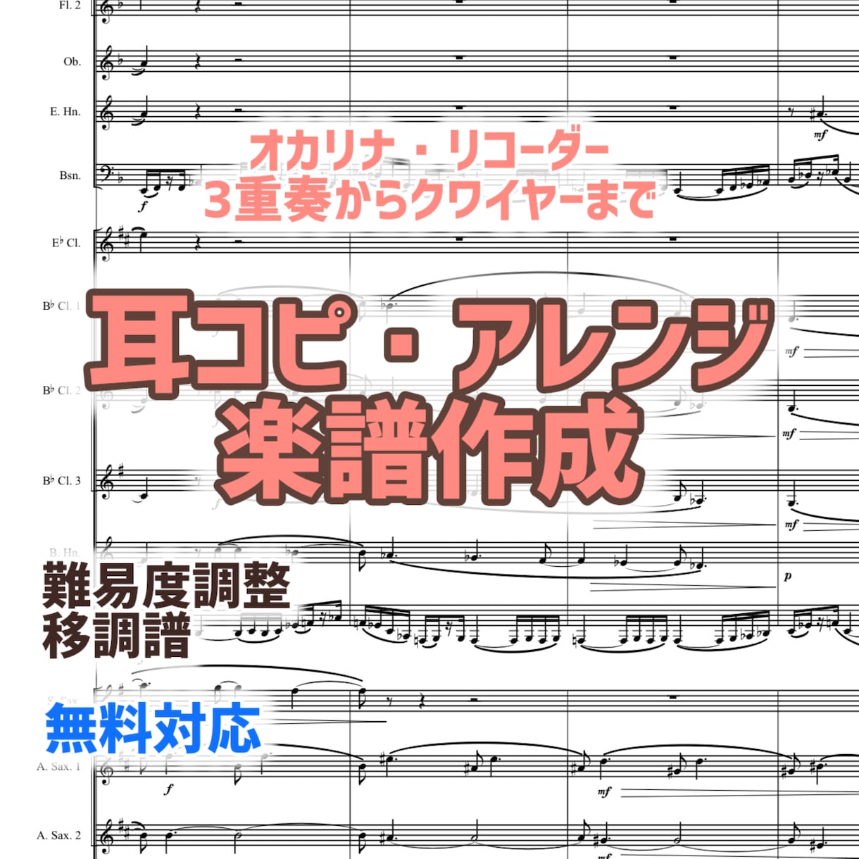 お好きな曲をオカリナ・リコーダーの楽譜にします 特殊管も大歓迎！作曲首席卒が制作 イメージ1