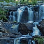 先祖供養(8世代前、510名)を行います 運気上昇、人生好転、家系繁栄、未来永劫の進化を励起します。 イメージ1