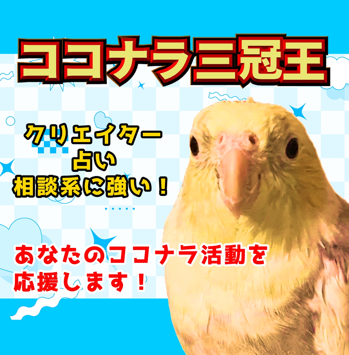 商売繁盛オカメインコがココナラ活動をサポートします 初心者〜中級者向けコンサル☆1週間でサクッと売り場改善! イメージ1
