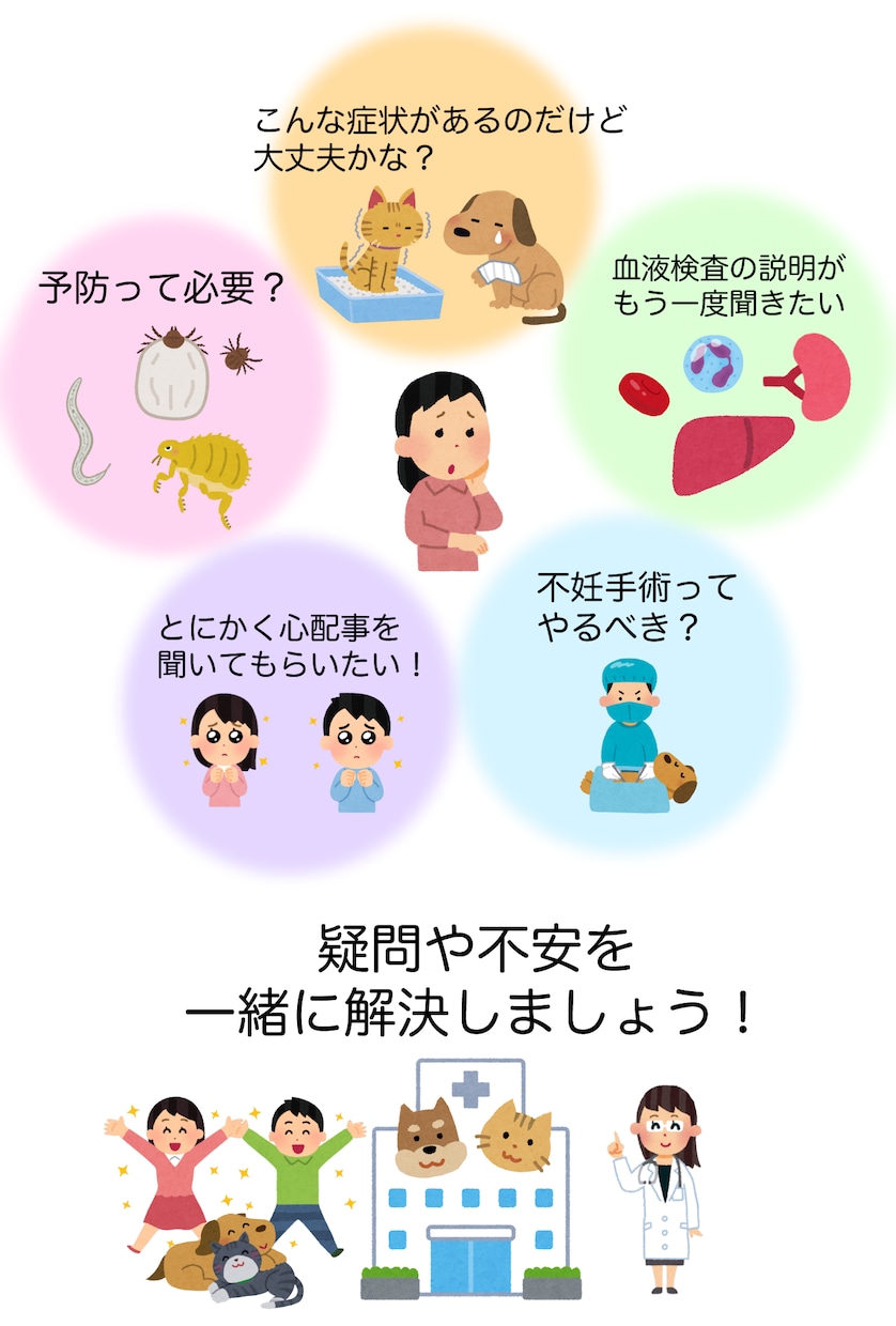 ペット（犬猫）の健康、病気に関して相談乗ります 現役獣医師が飼い主様の気になることにお答えします イメージ2