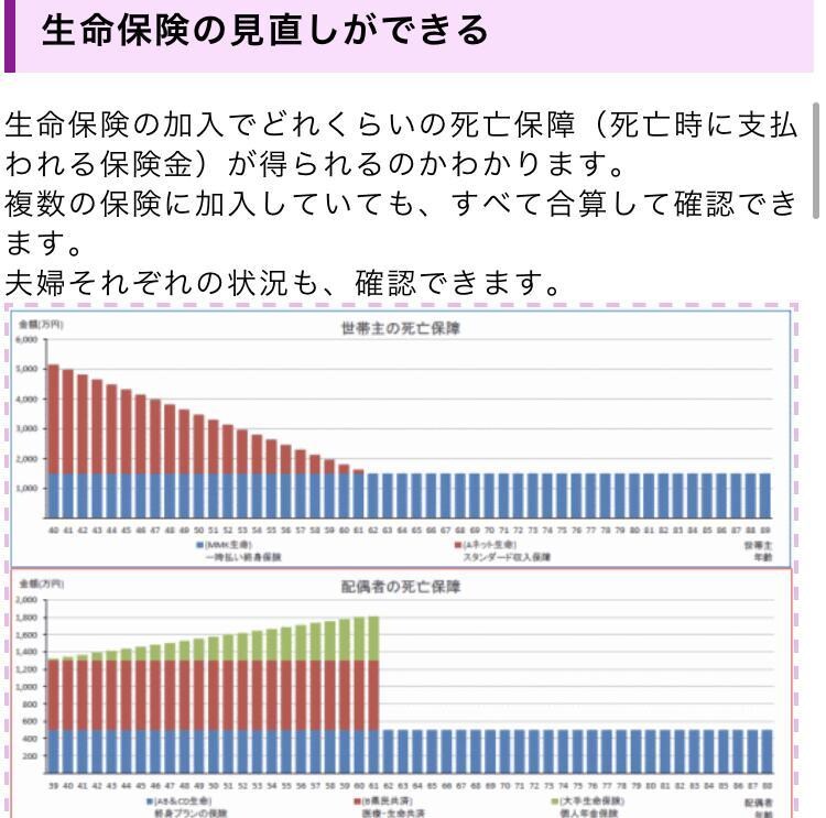 あなたにぴったりのライフプラン表を作ります 簡易アドバイスは無料でDMから！リニューアルして商品化！ イメージ5