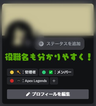 あなたのためのDiscordサーバー用意します 他のサーバーにはない、特別なサーバーを用意しませんか イメージ2
