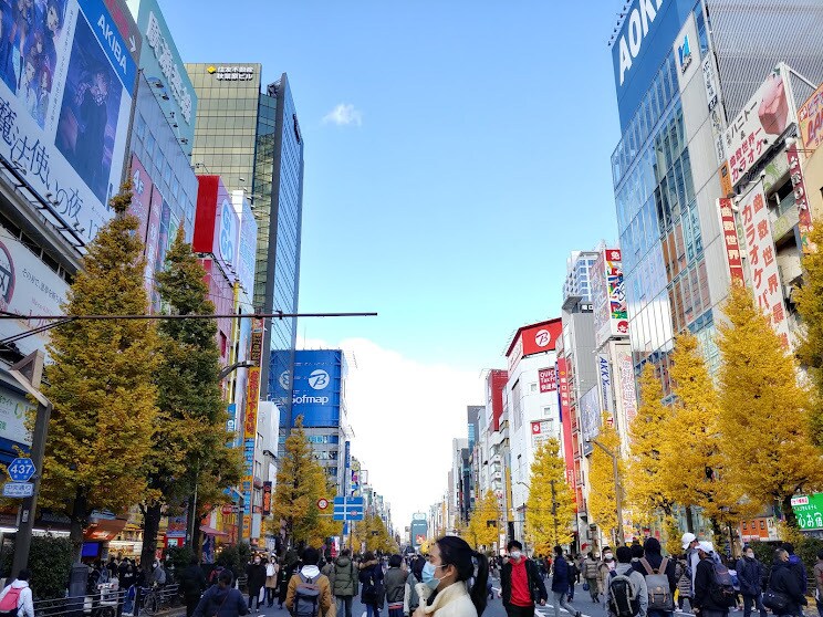 クリエイター向けにタロット占いをします 夢は叶うのか知りたくはありませんか？ イメージ2