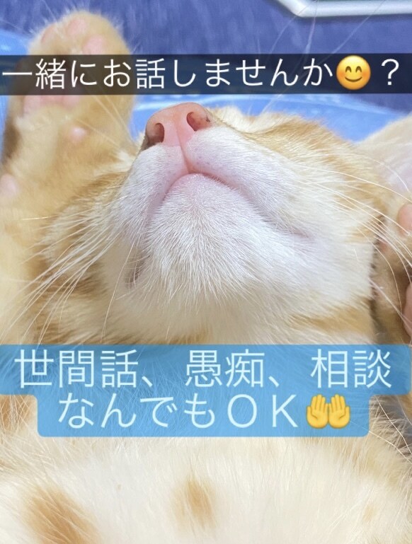 2日間♪あなたのお話相手になります 世間話や愚痴、何気ない日常の事まで気軽にお話ししましょう☆ イメージ1