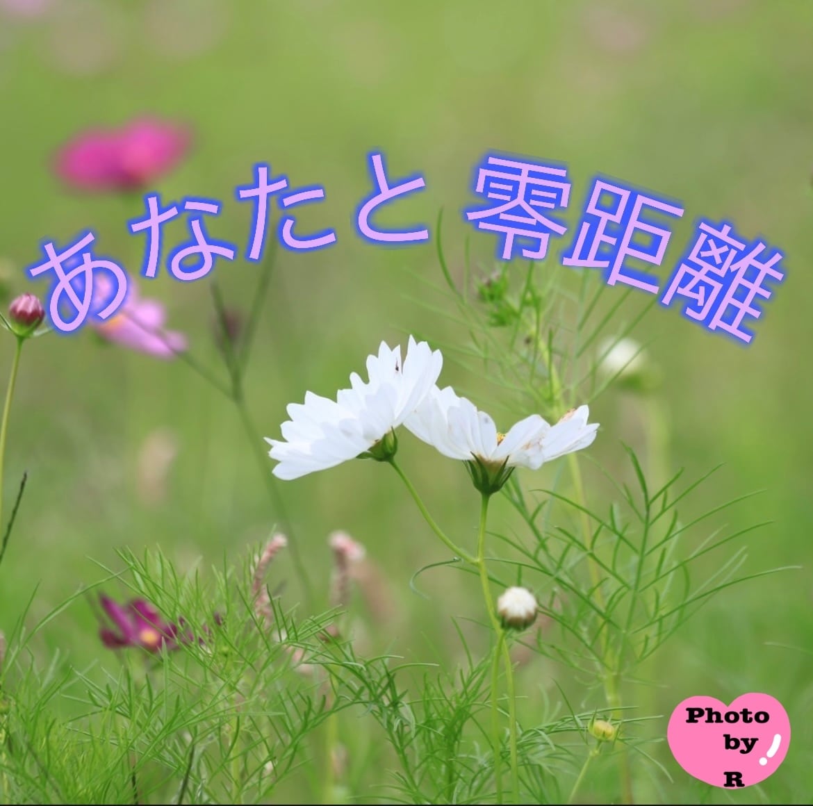 チャット鑑定♡恋愛応援♪あなたの望む未来へ導きます 望む未来へのカウントダウン♪今、必要なメッセージをすぐお届け イメージ7