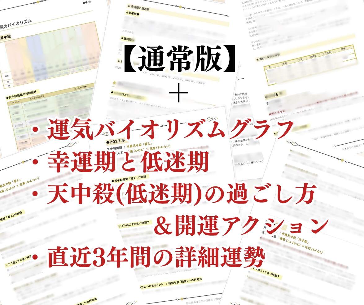 あなたの「魂の取扱説明書」を作成します 15,000文字超｜四柱推命で読み解く「魂の完全攻略パック」 イメージ3