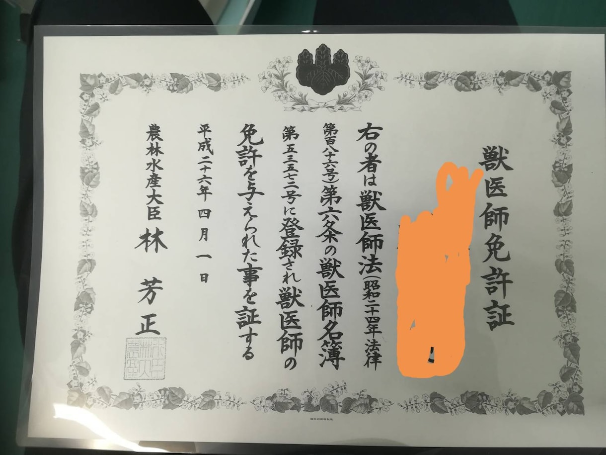 わんちゃん・ねこちゃんの病気の相談に乗ります 動物病院の現役院長がセカンドオピニオンとして相談に乗ります。 イメージ1