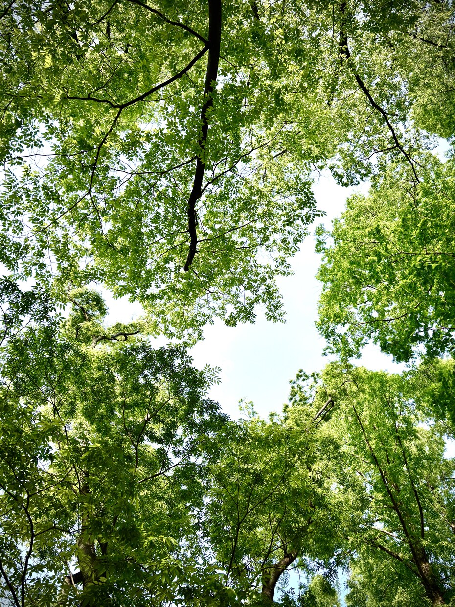 画像の加工や文字入れをします 大切な画像、おまかせください。 イメージ3