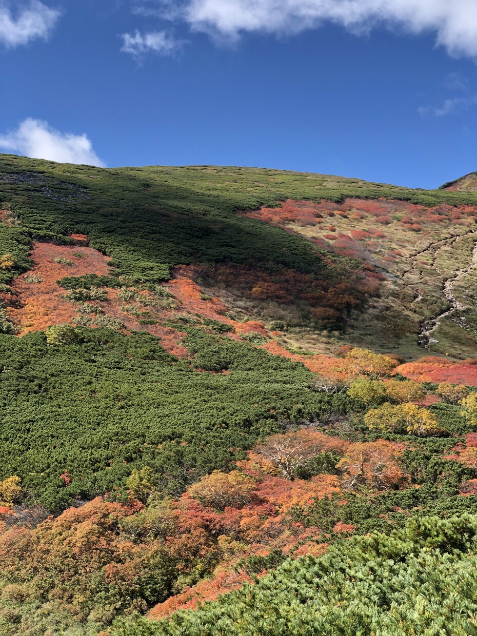 有資格ガイドがニセコの紅葉を登山ガイドします プライベートからグループ登山などみなさんの行きたい北海道へ イメージ1