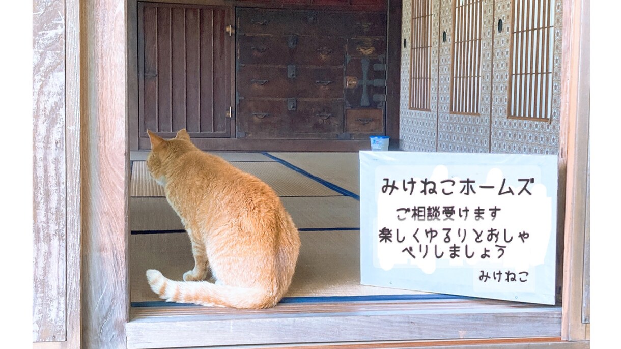 日々のお話何でも聞きます まずはメッセージから!という方お気軽にどうぞ(⋆ᴗ͈ˬᴗ͈) イメージ1