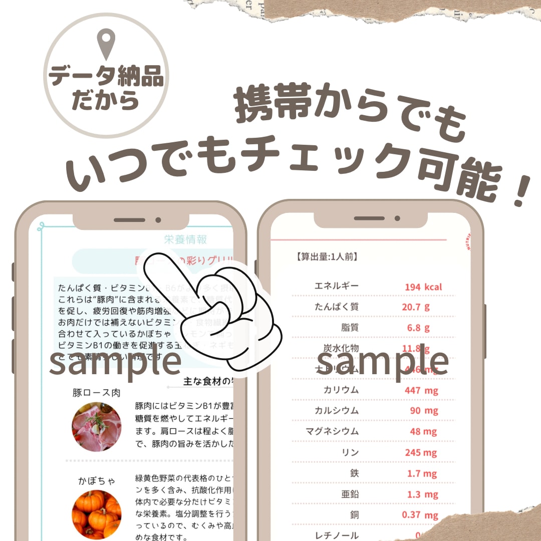 写真を送るだけ！毎日の食事栄養を算出します “自分だけの食事栄養レポート”をお届け【栄養算出のみプラン】 イメージ4