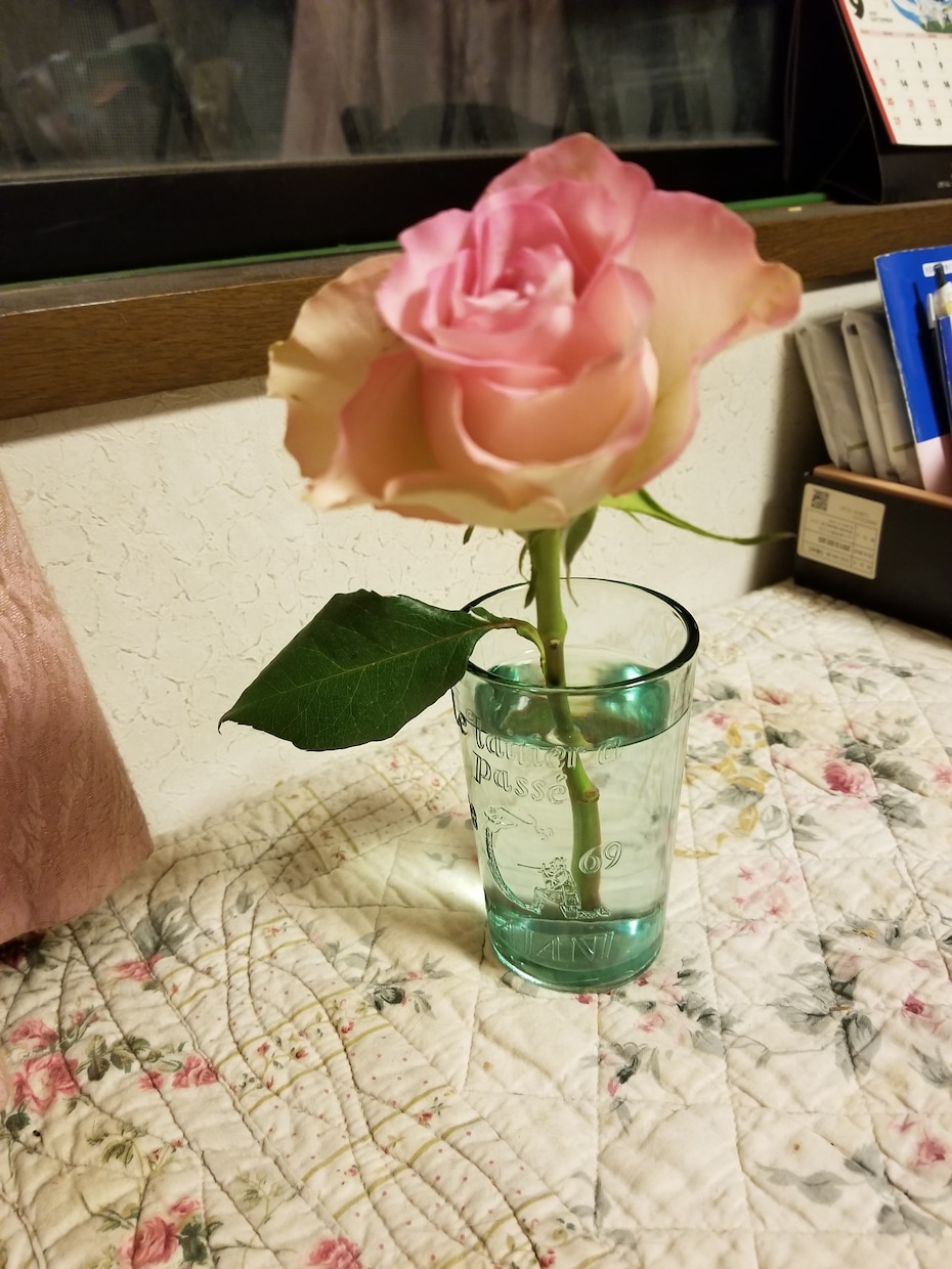 アナタに癒しを♡・雑談・相談・お話相手致します seaの癒しパワートークで沢山癒されてね～❣️ イメージ4