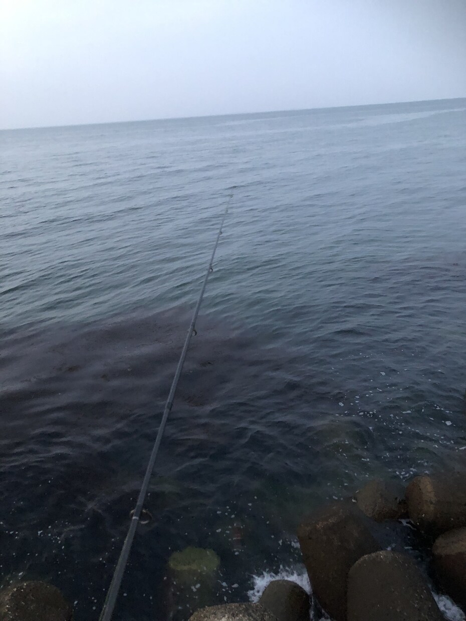 釣りの上達の仕方を教えます とりあえず1匹釣りたい！！(^^)そんな貴方に！ イメージ1