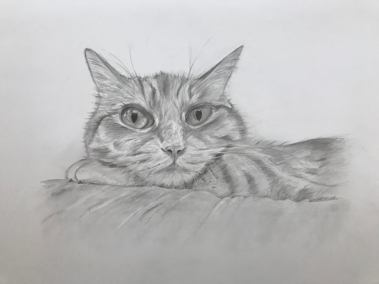 ペットの肖像画のお描きします ペットのかわいらしい姿を鉛筆画または水彩画でお描きします イメージ8