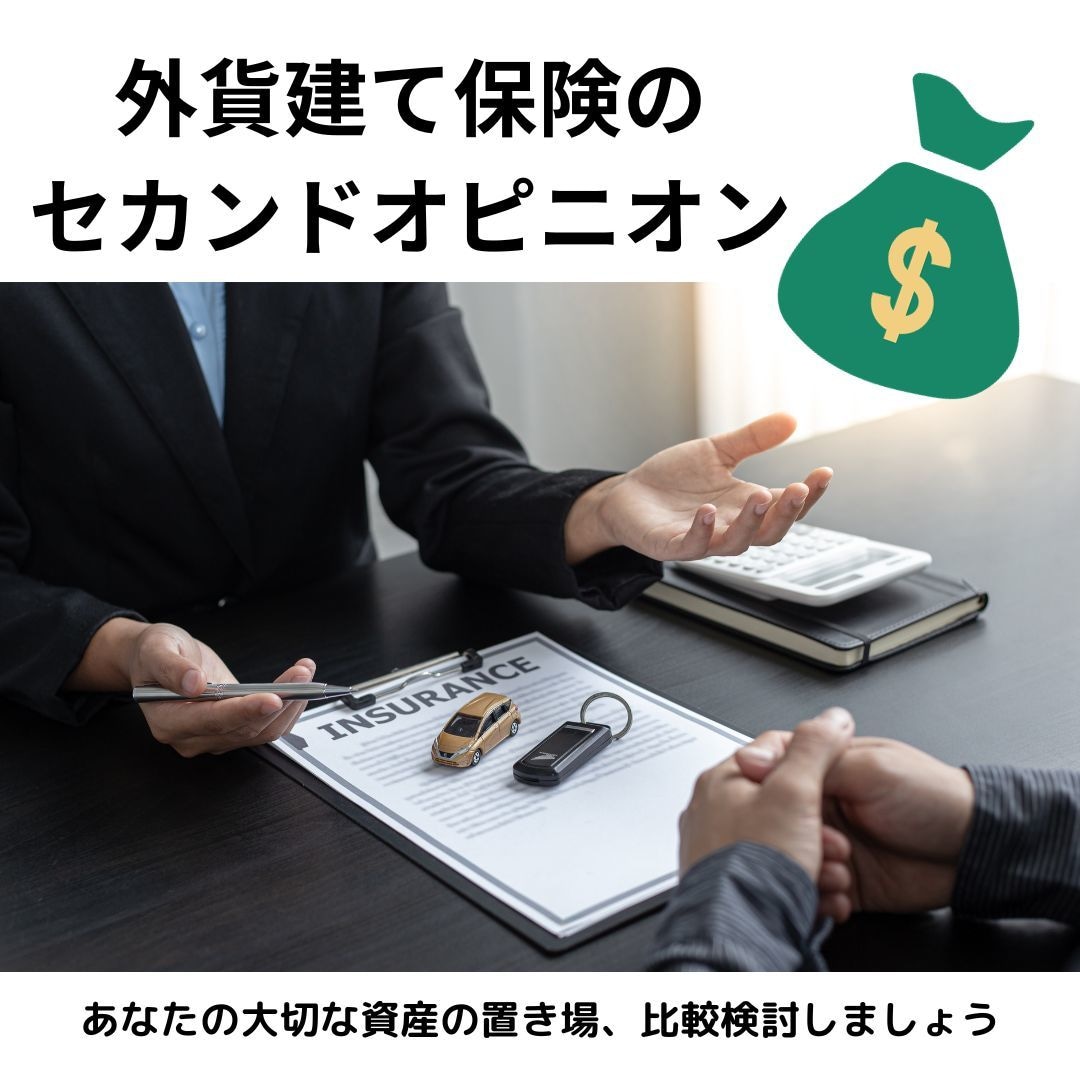外貨建て保険のセカンドオピニオンおこないます 資産運用としても注目されている外貨建て保険の徹底解説！ イメージ1