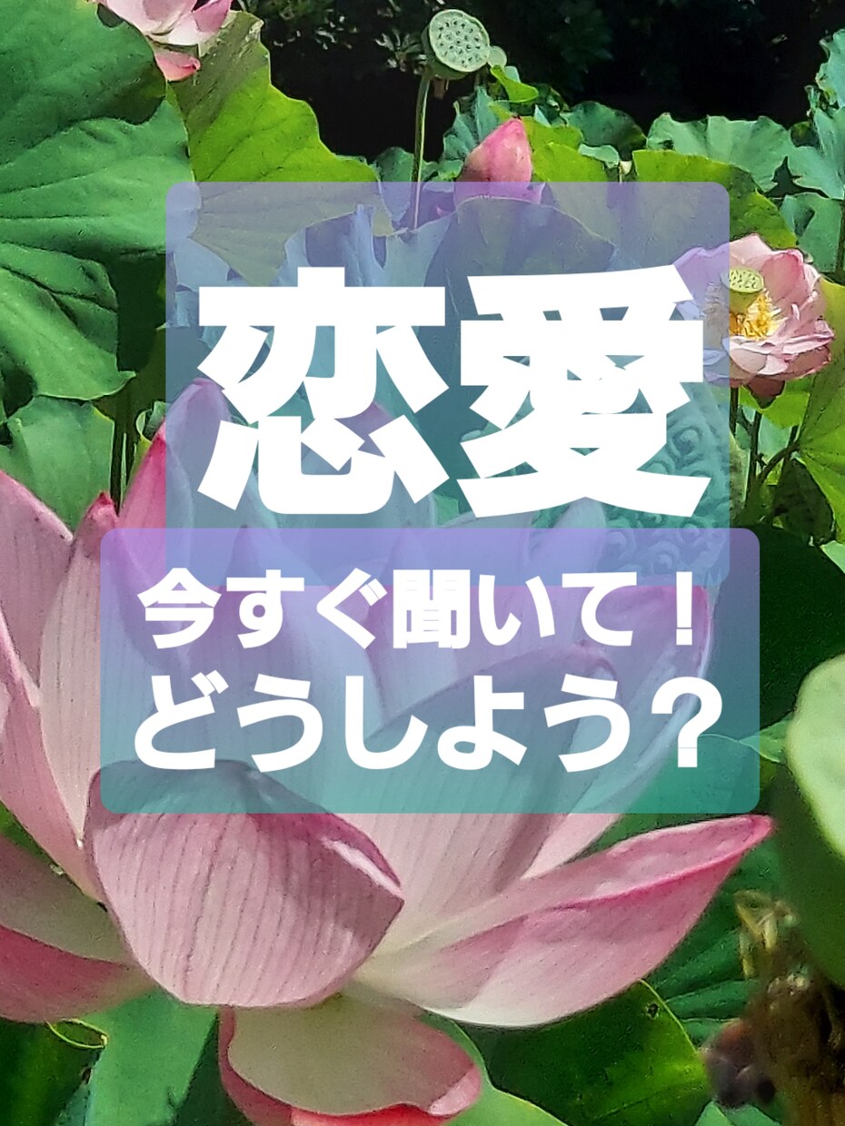 恋愛。メンタル心理カウンセラーがお聞きします 秘密の恋愛、復縁も❤今すぐ聞いて！どうしよう？こちらへどうぞ イメージ3
