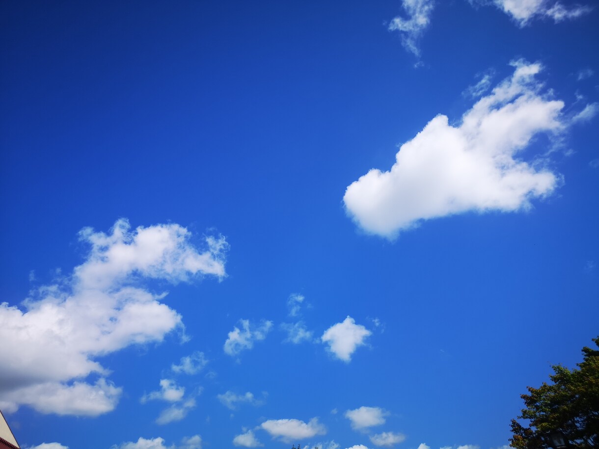 季節の写真提供します 色々な季節や風景の写真提供します！ イメージ4