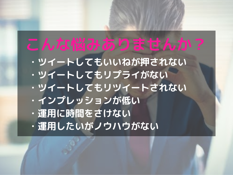Twitter運用補助！認知拡大をお助けします 効果的なサポートで日本人アクティブフォロワーを獲得します イメージ3