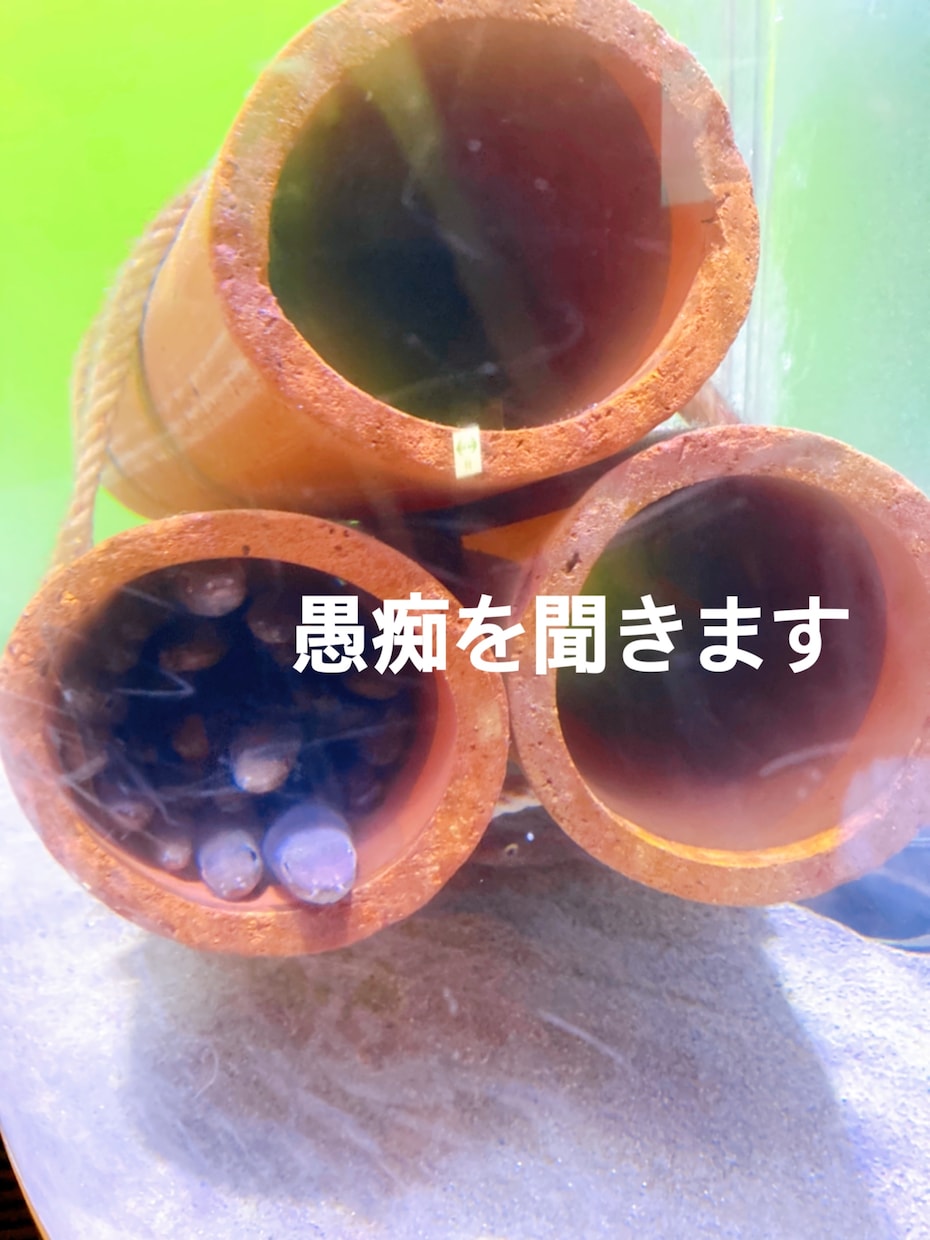 愚痴を聞きます 「恋愛」「子育て」「仕事」「人間関係」なんでも聞きます イメージ1