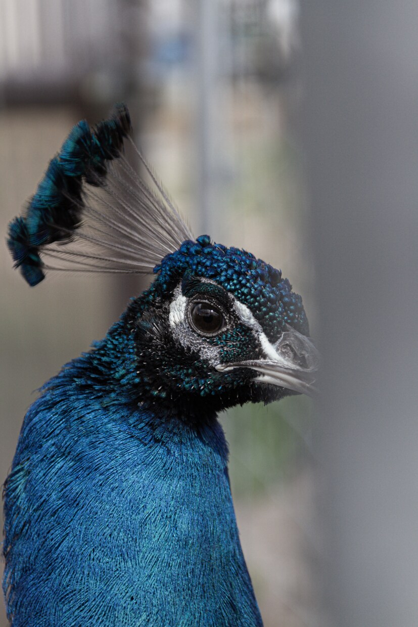 たくさんのジャンル写真を撮影します 風景/スナップ写真/動物/商品写真など！ イメージ2