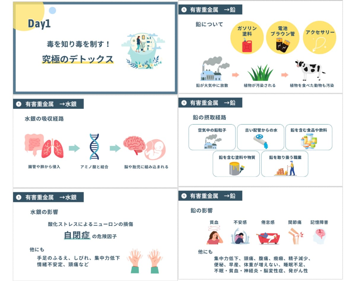 看護師がCanvaキャンバで医療系資料を作成します 見やすく伝わる◎高クオリティ◎優しい雰囲気 イメージ4