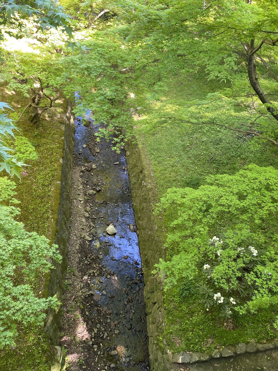 言葉を発するだけで心が癒されます 心が和めば身体も安まる(*´ー｀*) イメージ2