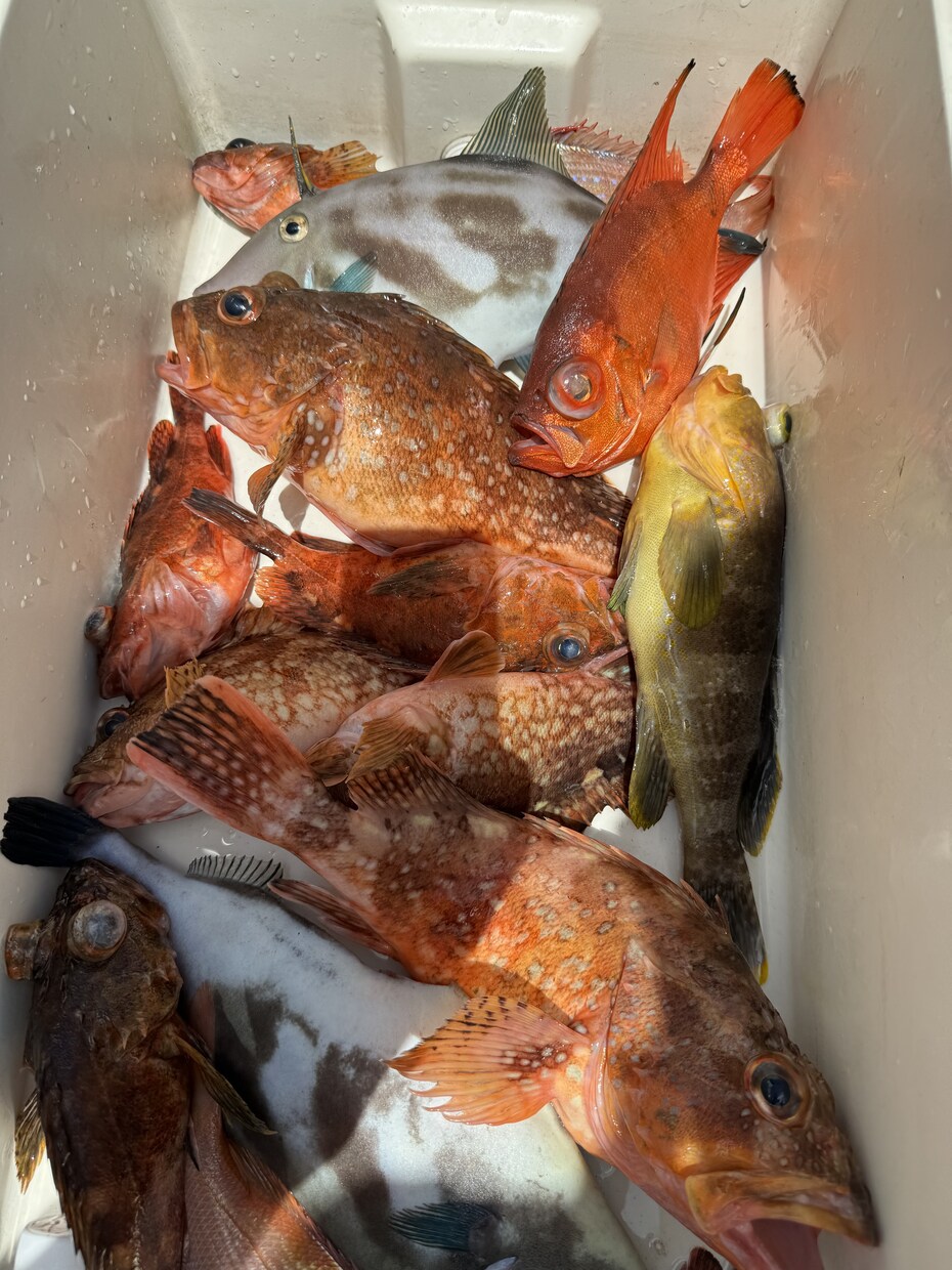 釣りを始めたい方に0から丁寧にアドバイスします 釣りで必要な道具の購入や釣り方を0から丁寧にサポート！ イメージ6
