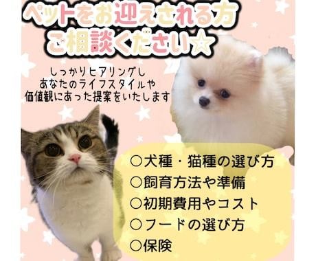 ペット/子犬子猫のお迎えでのお悩み解決します ショップ？ブリーダー？保護？何がいいかはわからない方必見！ イメージ1