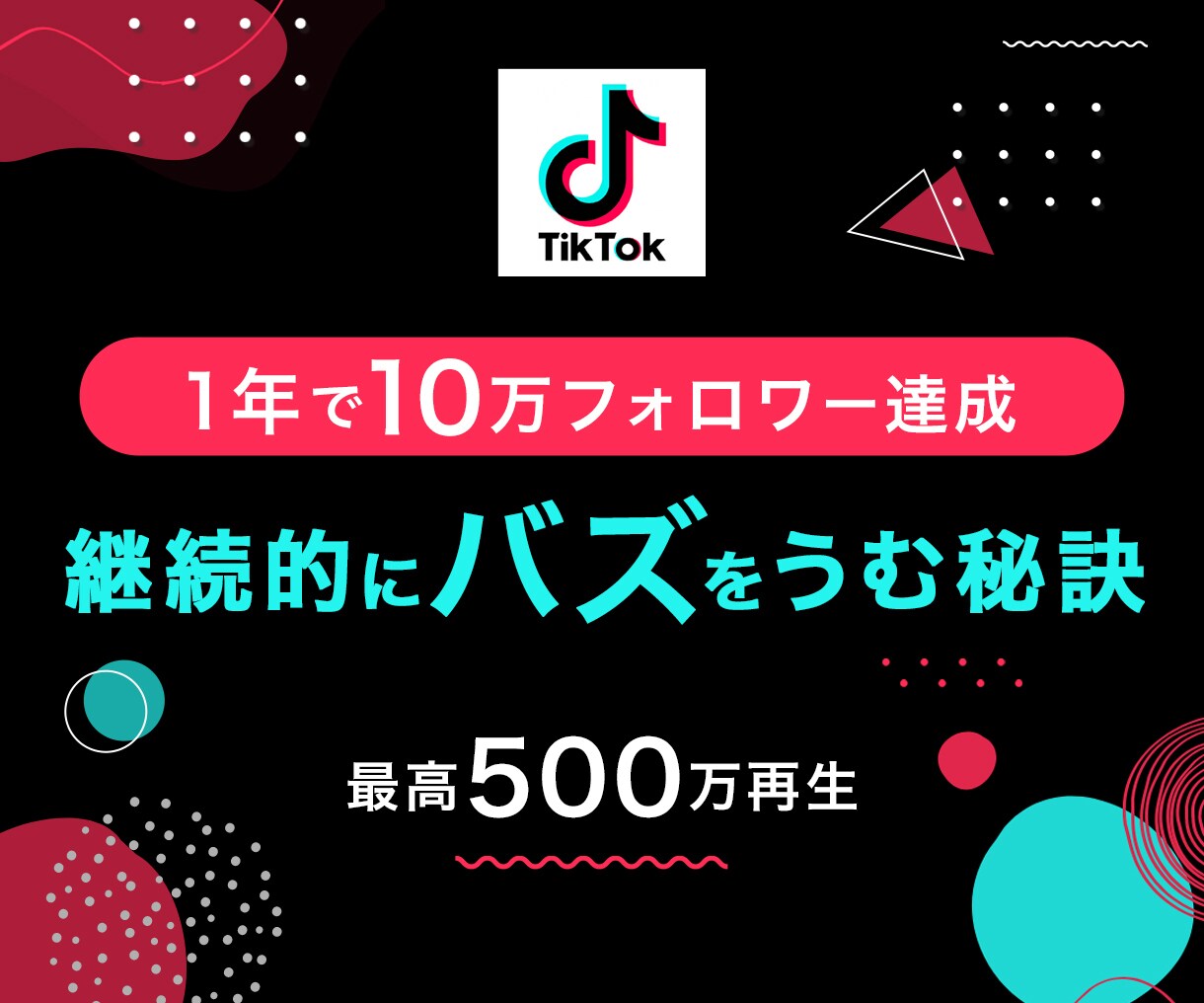 TikTok現役インフルエンサーがアドバイスします あなたのアカウントをコンサルティング（添削）します イメージ1