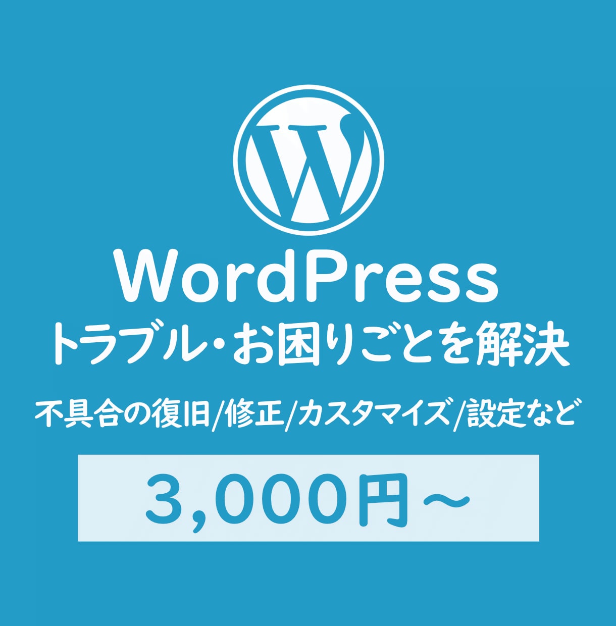 WordPressトラブル・お困りごとを解決します ワードプレス不具合の復旧/修正/カスタマイズ/設定など イメージ1