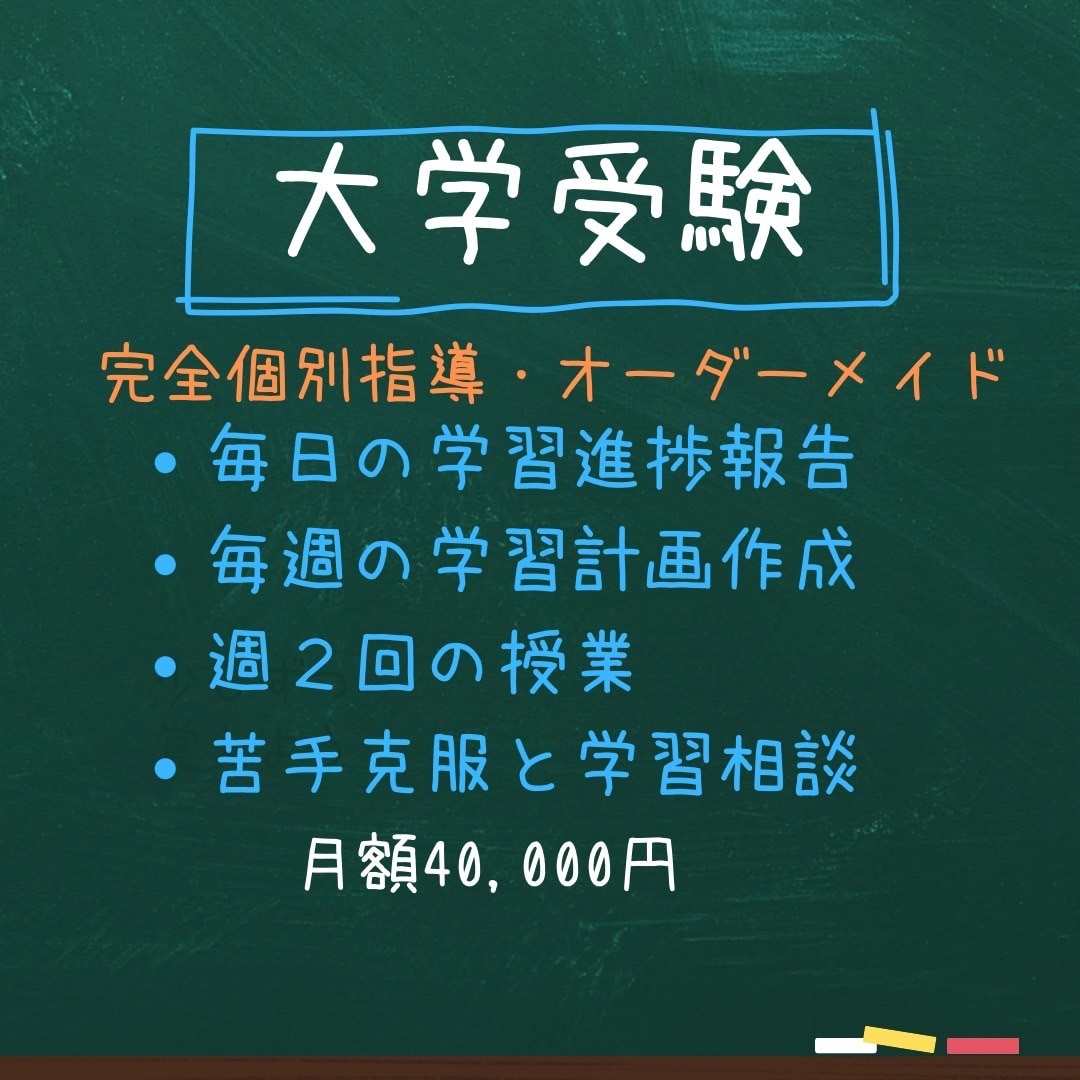 元京大院生のプロ講師が高校生を1ヶ月間教えます 理系6教科8科目全てを教え定期試験・受験対策を行います イメージ1