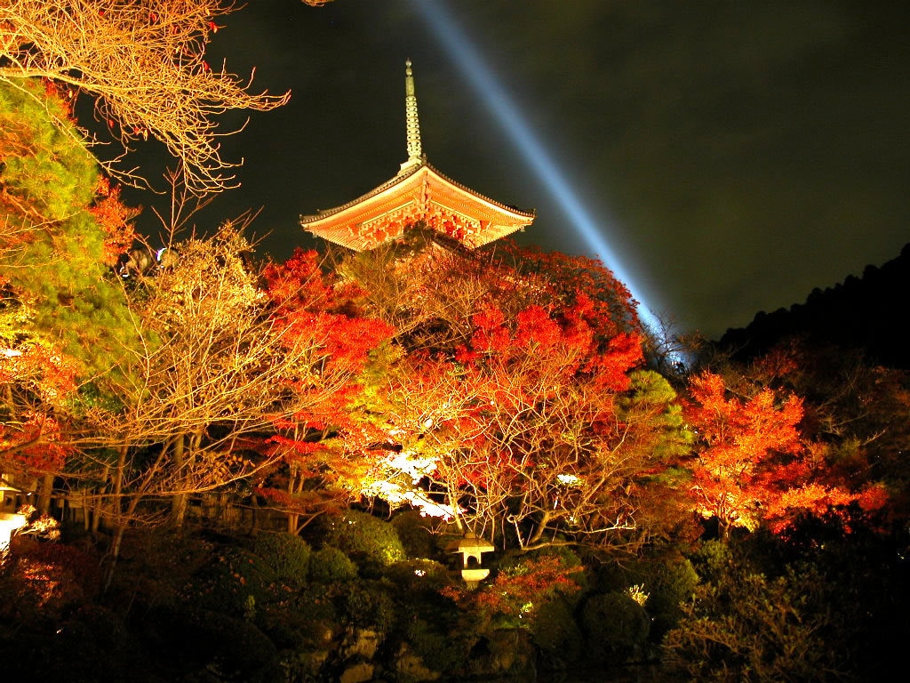 京都の神社仏閣の代理参拝いたします 京都は遠くて行けない...でもお参りをしたいあなたへ イメージ1