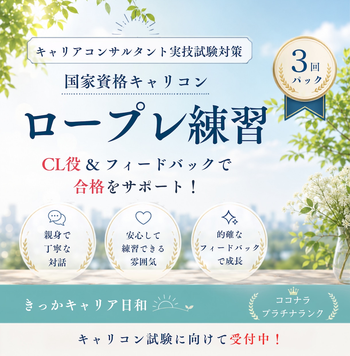 ３回パック：キャリコン実技試験の相手役をやります 現役キャリアコンサルタントがロープレの相手役をやります！ イメージ1