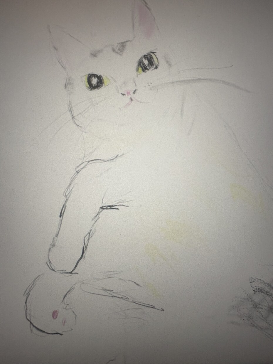 お写真をもとに猫のゆるいイラストを描きます 大切なうちの子を、温かみのある手描きイラストに イメージ4