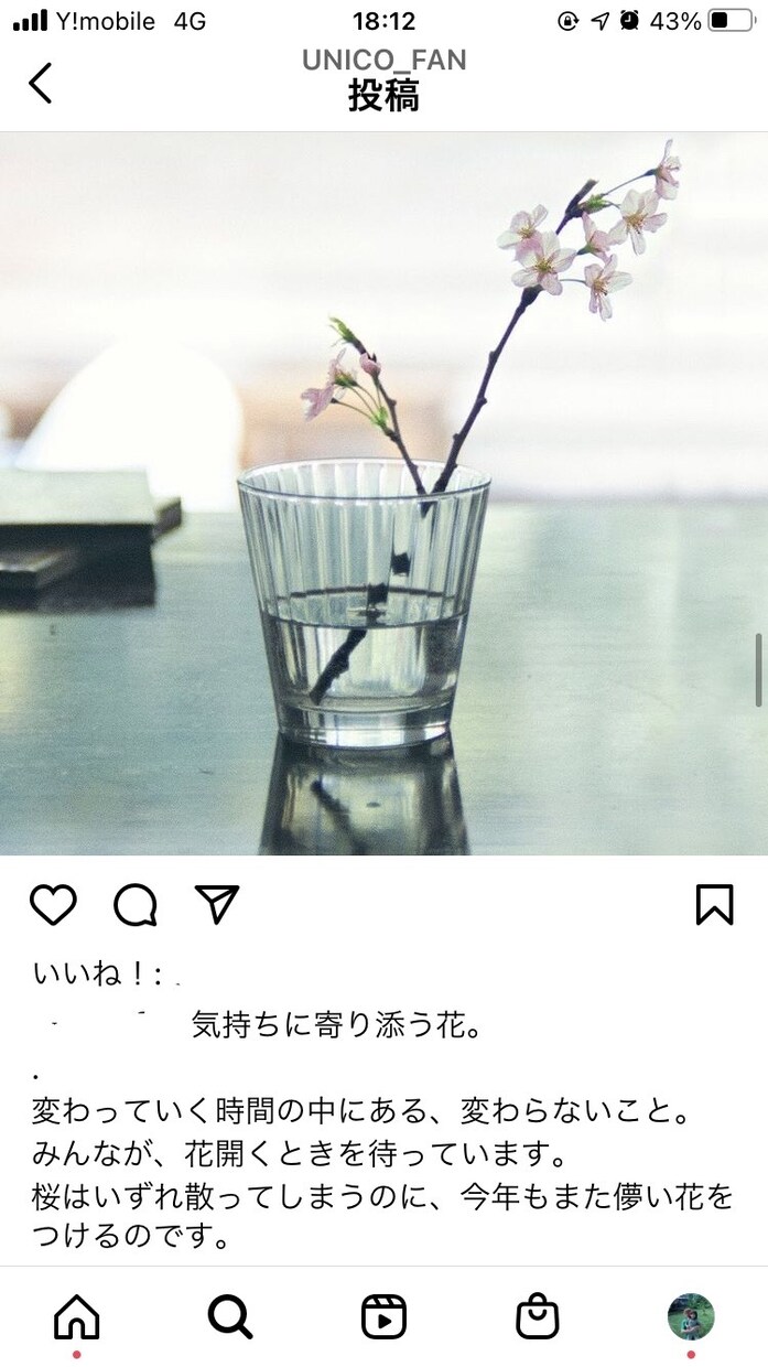 プロのライターがあなたの撮った写真に言葉を添えます Instagramや写真に雰囲気のあるキャプション・コピーを イメージ8