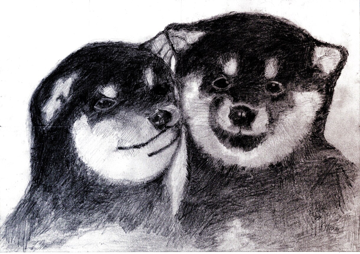 温かみのある鉛筆画でペットさんの絵をお届けします いろいろな動物描けます！記念やプレゼント用に イメージ8