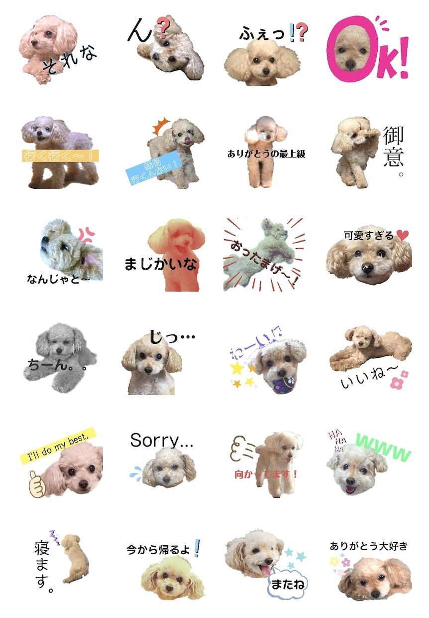 家族の一員(ペット)写真でLINEスタンプ作ります 使うたびに癒される…！大事な家族の写真をLINEスタンプに。 イメージ1