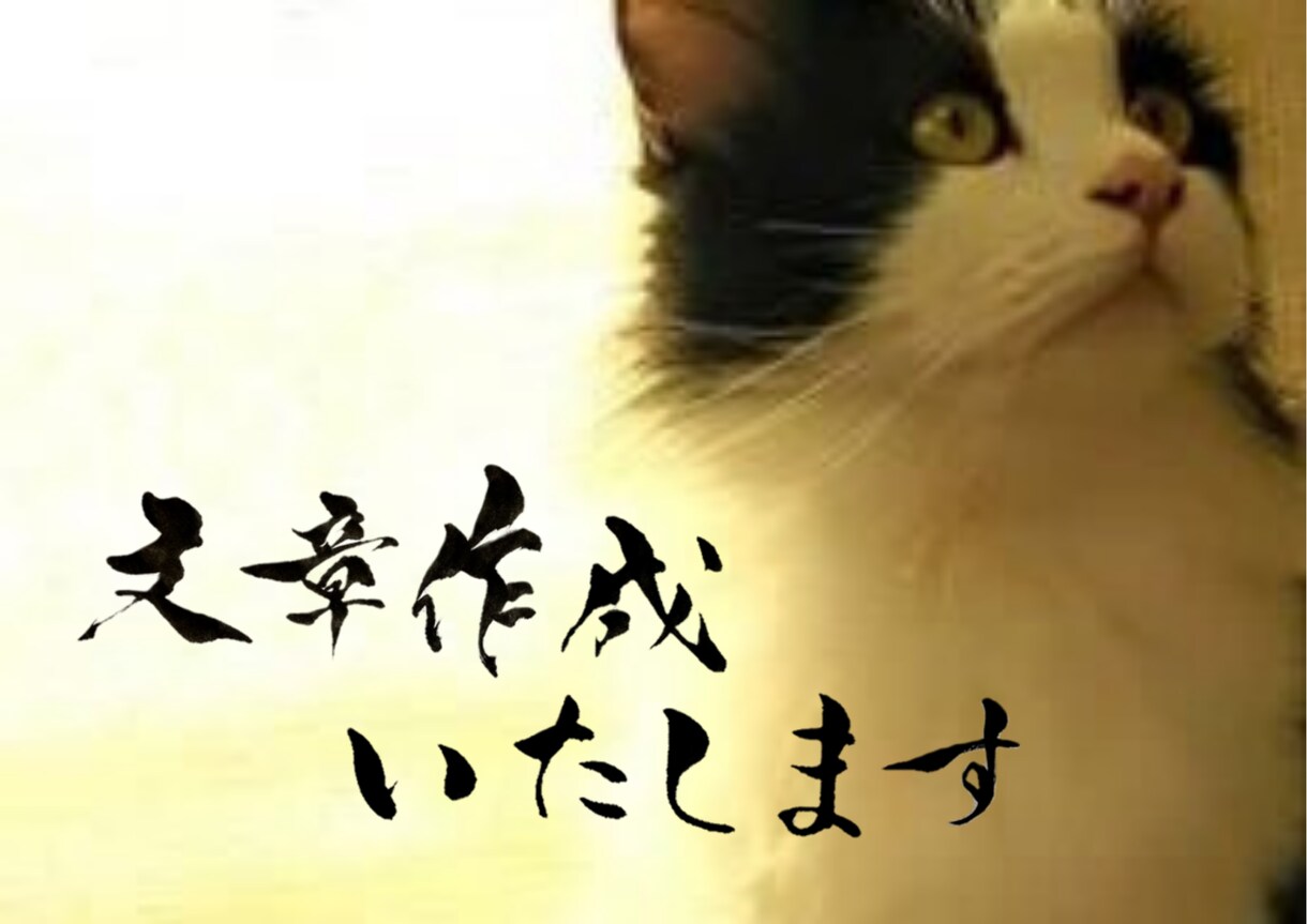 文章の作成、校正やリライトを致します 現役作家があなたに代わってライティング。スピーディーに対応！ イメージ1