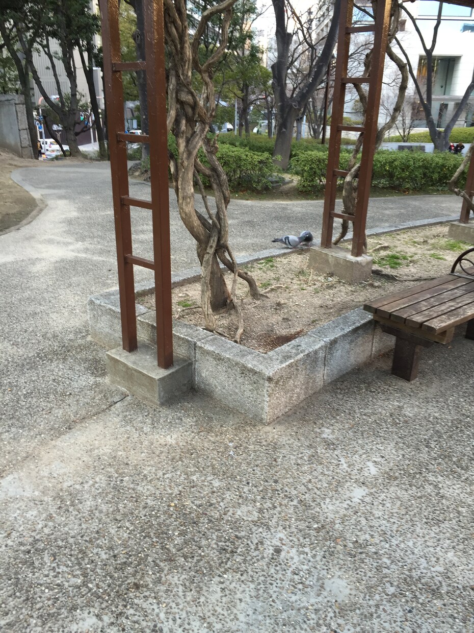 お悩み相談(恋愛、人間関係など)ききます 悩みを溜め込みがちな方。まずはお気軽にどうぞ！ イメージ1