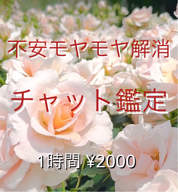 不安やモヤモヤ解消♪チャット鑑定します 毎日の悩みは尽きないもの。タロットから見るあなたの未来♡ イメージ1