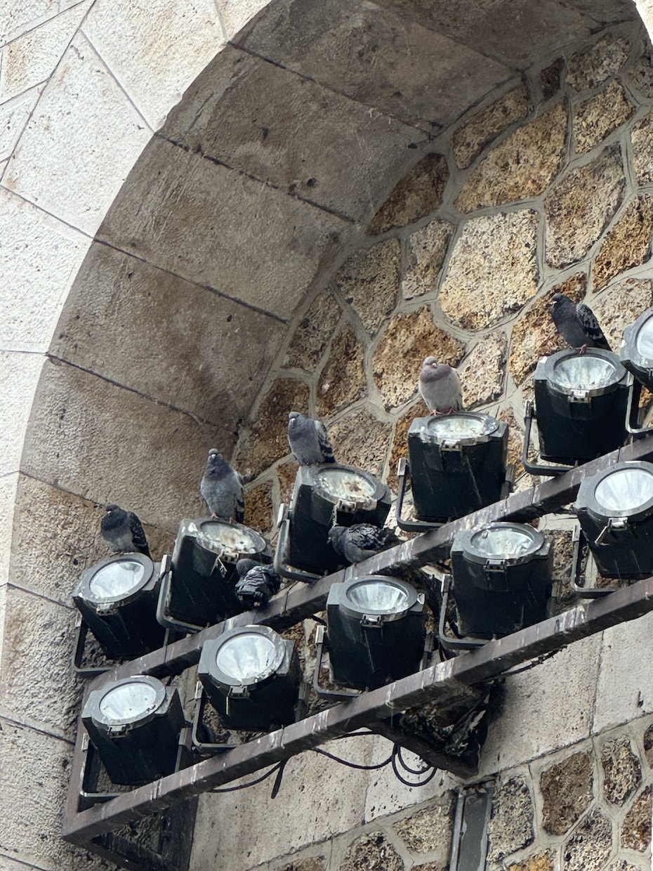 フランス渡航の全てをお伝えします ビザの取得方法、現地での生活、フランス語、何でも相談可 イメージ3