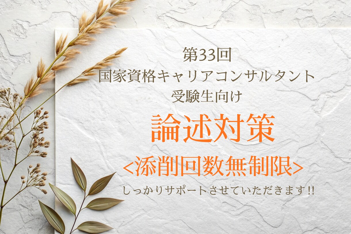キャリコン論述試験・試験直前まで無制限添削します オールA判定・論述40点の私が考え方から丁寧に解説 イメージ1