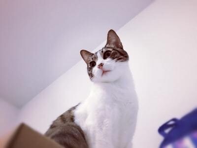 失恋の人には言えない、孤独感。あなたの秘密聞きます 愚痴/話し相手/恋愛/不倫/人間関係/本音/悩み/5分でも♪ イメージ10