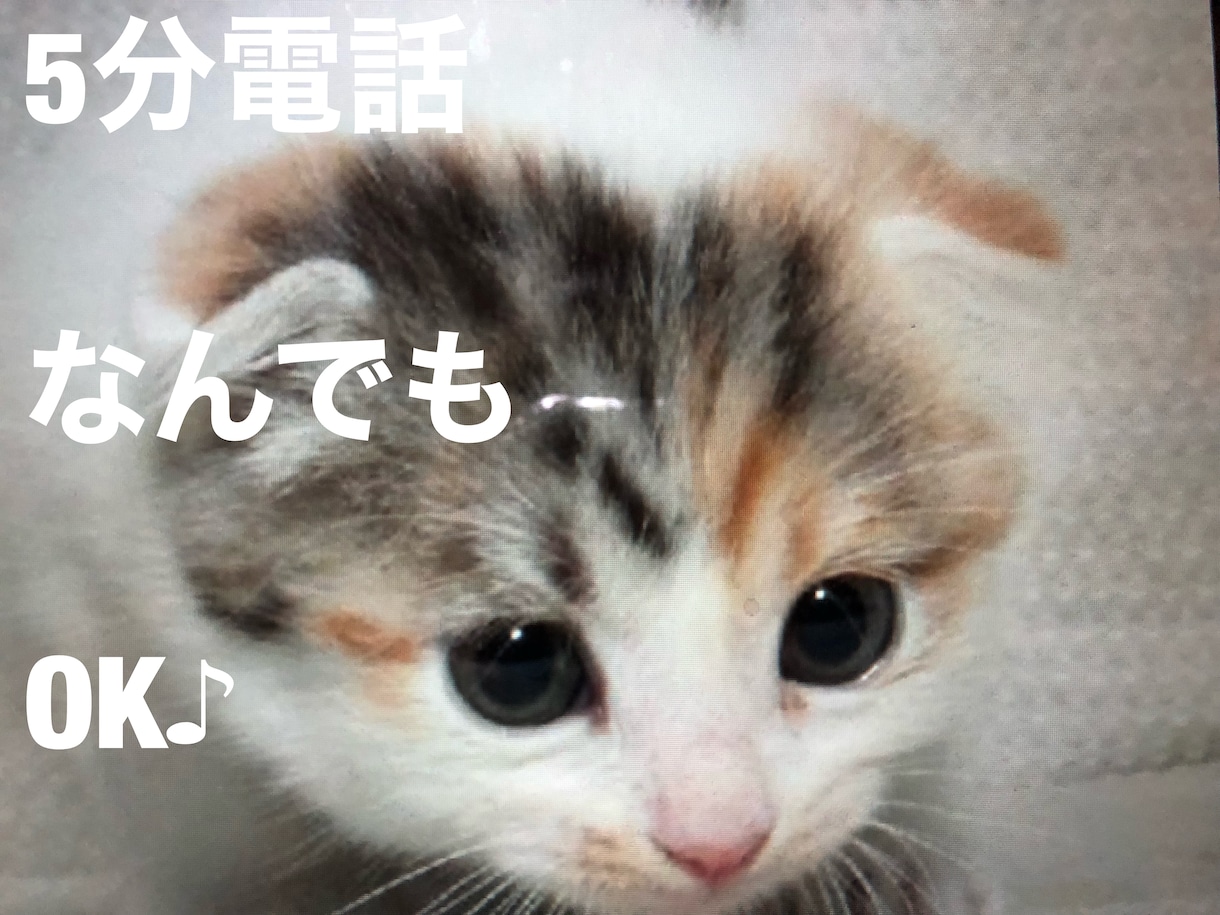 少し話をしたい、5分からお話聞きます 興味本位でお話してみませんか？女性限定 イメージ1