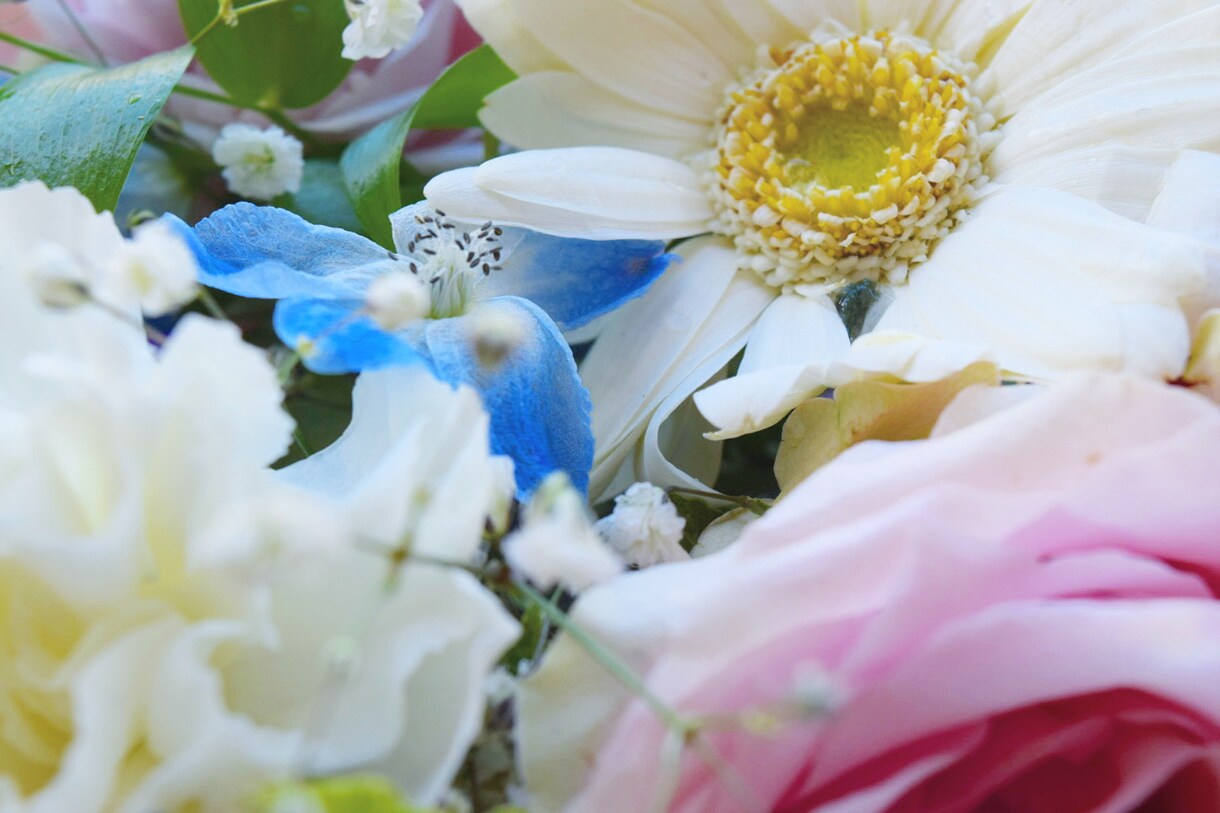 綺麗な風景画を届けます その一瞬を収めた写真を春夏秋冬で撮っています。 イメージ4