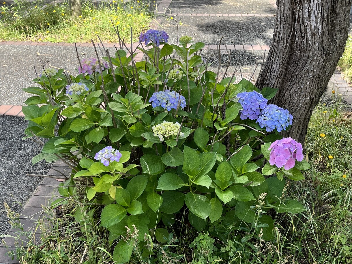 名前や誕生日がわからなくても 相手の気持ちをみます 通話は数分〜長時間お好みで♡あらゆるジャンルに対応いたします イメージ8