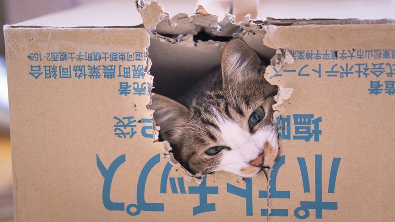 安心できる⭐️あなたのためだけの時間をご提供します HSPの私があなたを全力で受け止めます。緊張なんていらない。 イメージ7