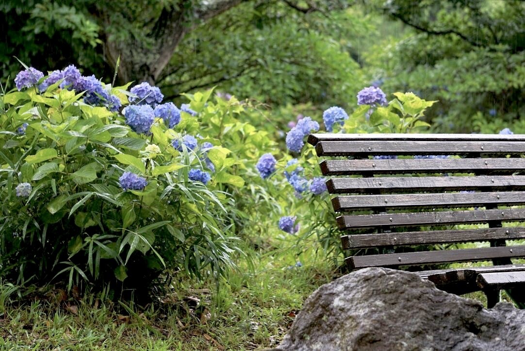 ご希望に添ったお写真をお届けします ご希望に添ったお写真をご提供させて頂きます！！ イメージ4